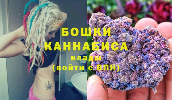 соль ск Гусь-Хрустальный