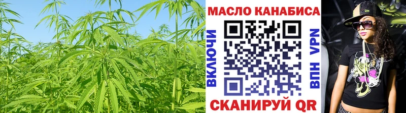 mega tor  маркетплейс телеграм  ТГК концентрат  Плёс 