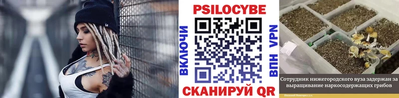 купить блэк спрут вход Псилоцибиновые грибы Cubensis Плёс